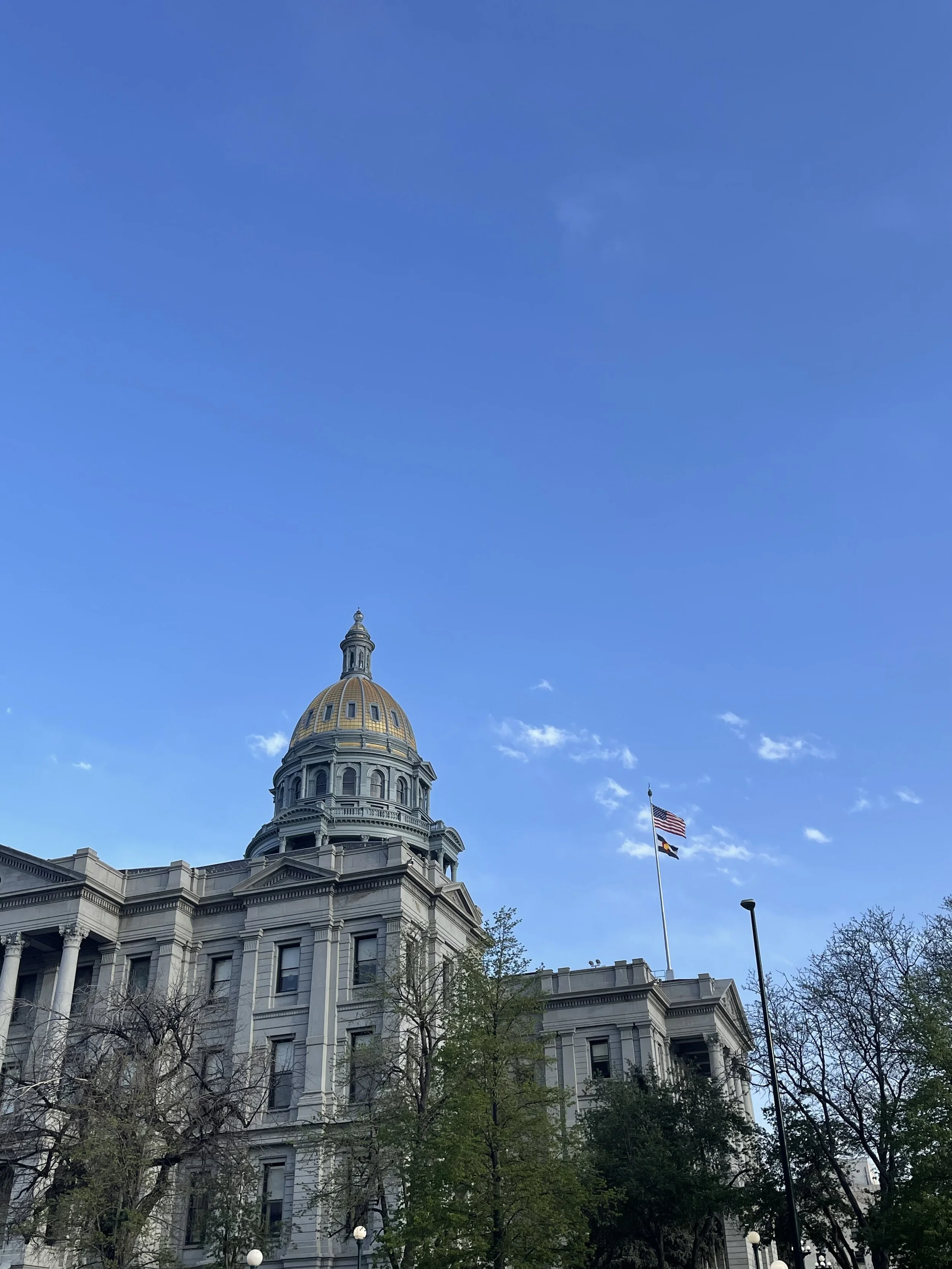 Services — The Capstone Group