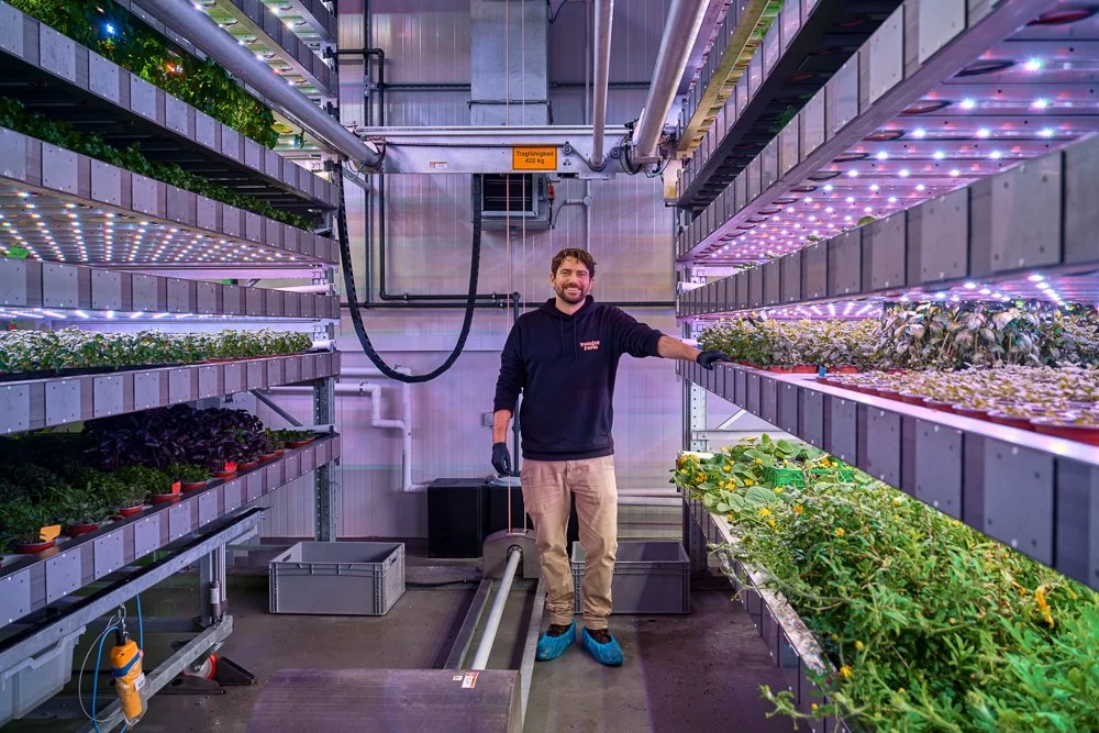 Mann in einem Gewächshaus oder Indoor-Garten mit mehrstufigen Pflanzregalen, beleuchtet mit LED-Lichtern, arbeitet an Pflanzenkulturen.