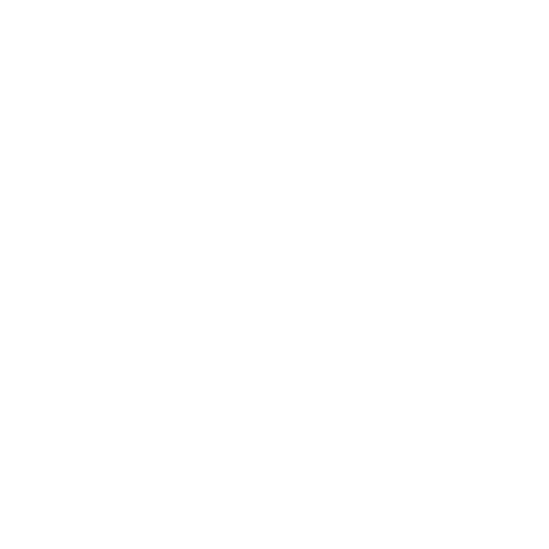wgt_white.png