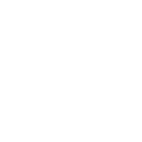 lvw-cottbus_white.png