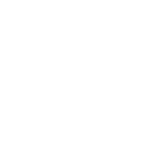 Zespri Kiwifrucht-Logo mit einem stilisierten Kiwifrucht-Schnittmuster