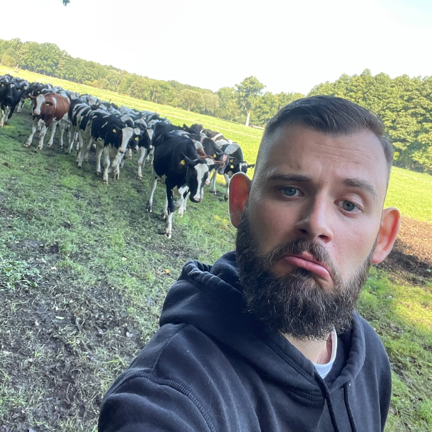 Ein Mann macht ein Selfie vor einer Herde Kühe auf einer grünen Wiese, im Hintergrund Bäume unter klarem Himmel.