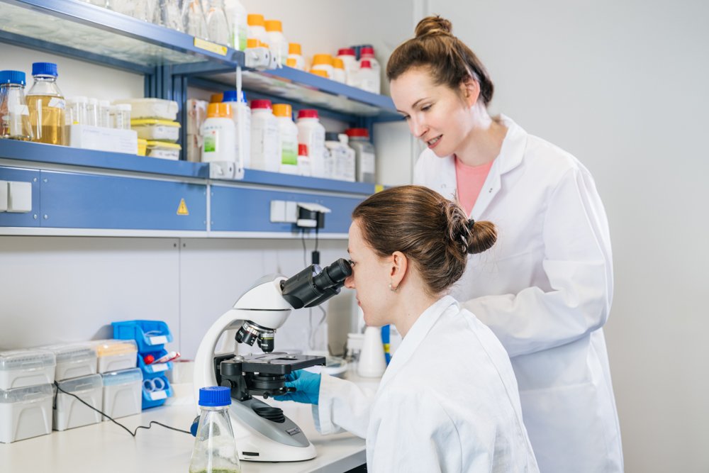 Zwei Wissenschaftlerinnen im Labor, eine schaut durch ein Mikroskop, die andere steht daneben und beobachtet.