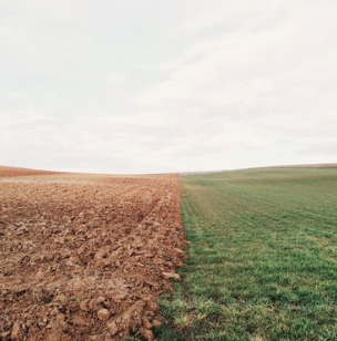 Lyme Disease Controversy:An Epic Divide Over a Fearsome Bug