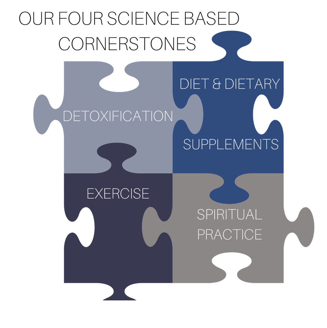 Access To Our 4 Cornerstones