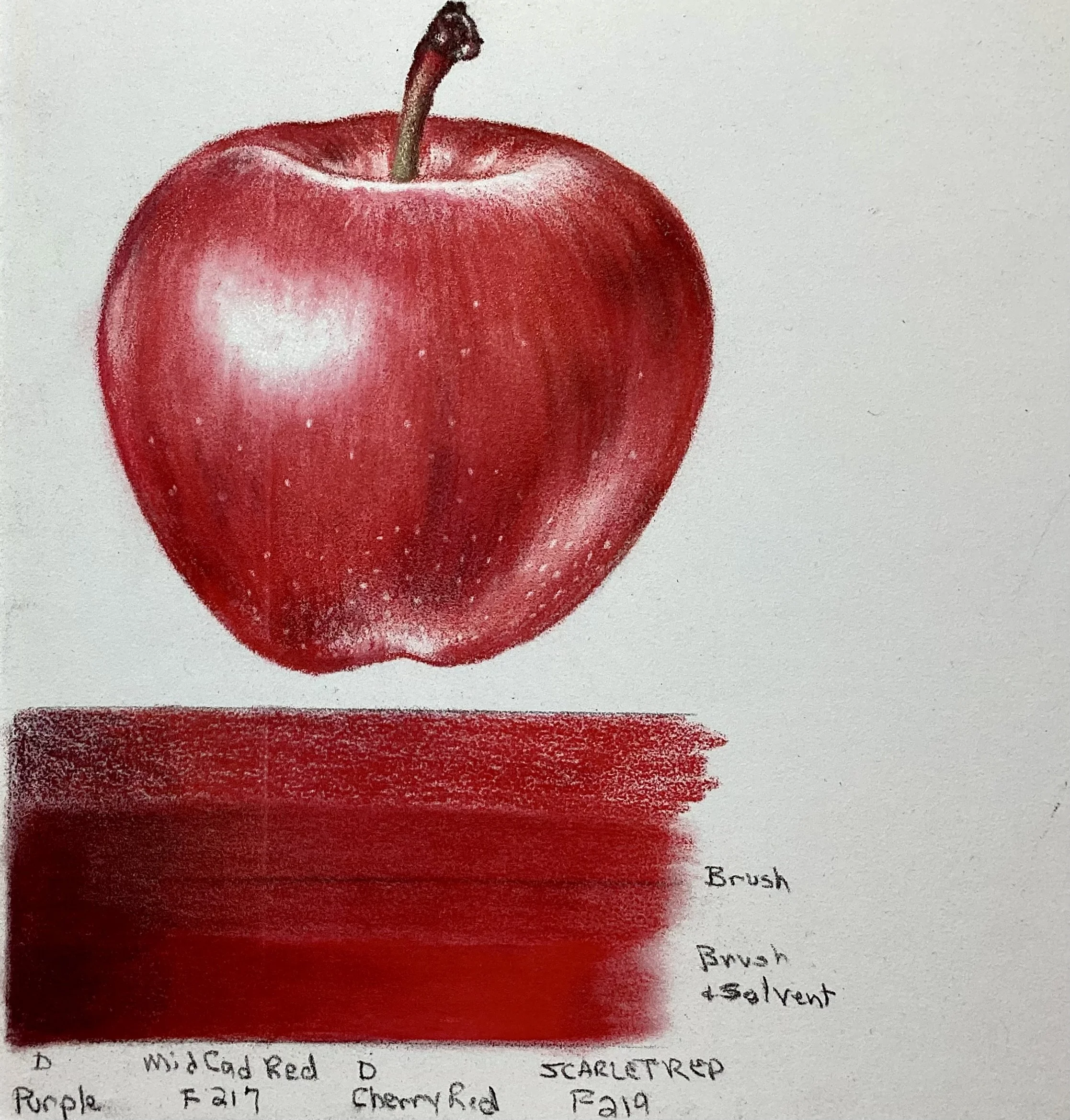 Two Very Different Papers for Colored Pencil