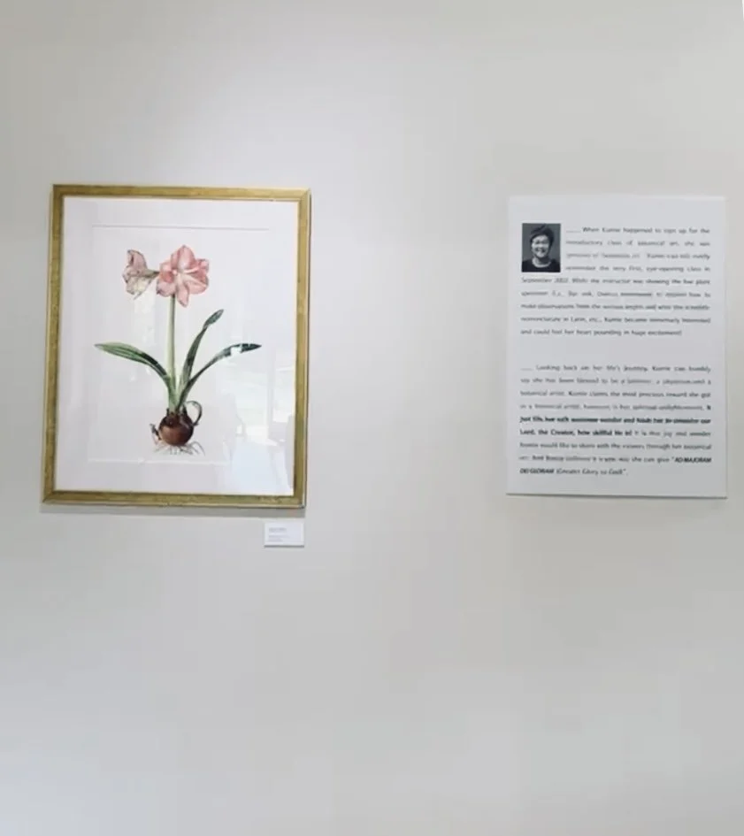 Celebrating 20 Years of Botanical Art