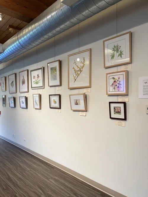 From Studio to Spotlight