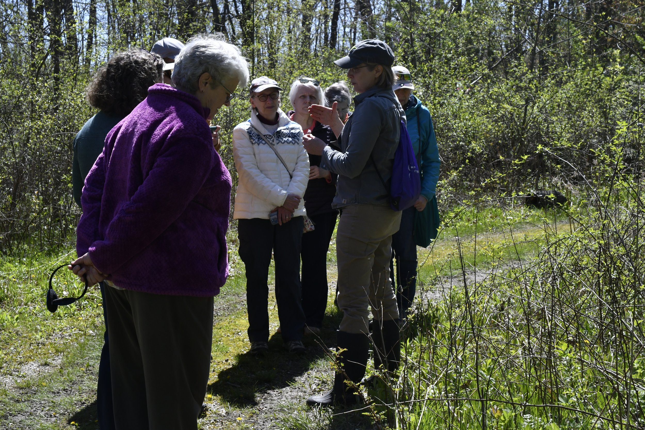 Preserving the Legacy: Spring Ephemerals at Reed-Turner Woodland
