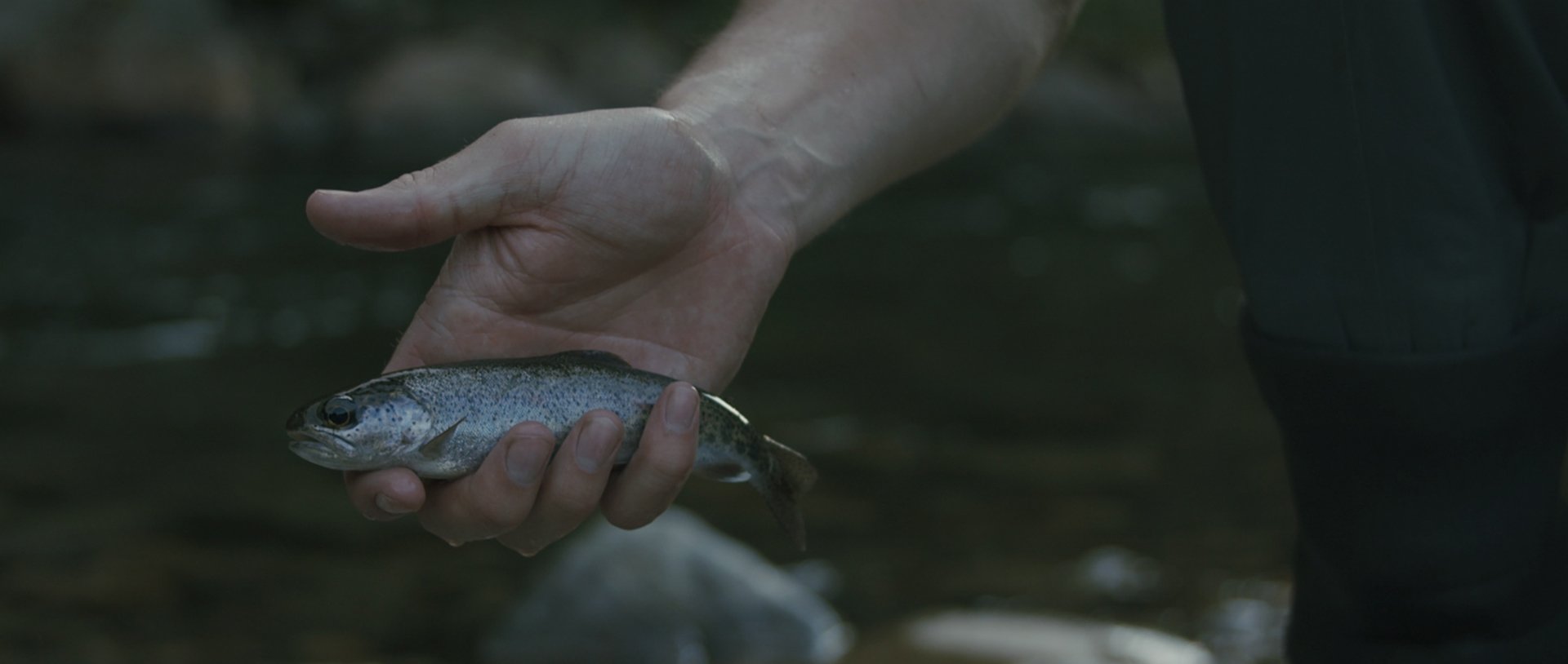 Fishing Doc 3.jpg