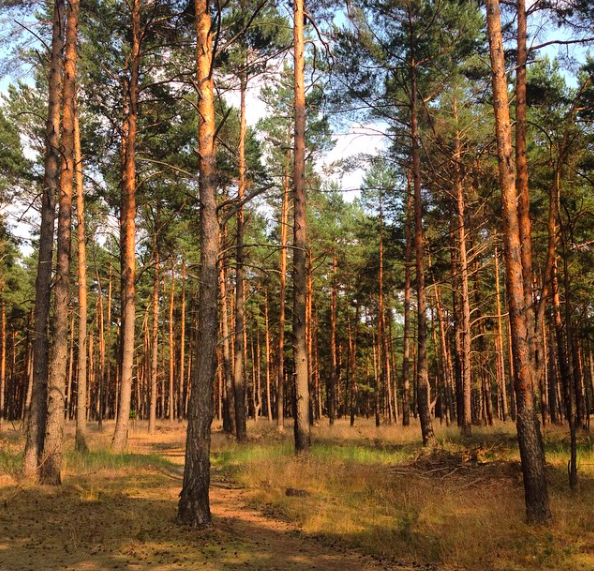 Don't Big It Up, A Story About Losing Someone