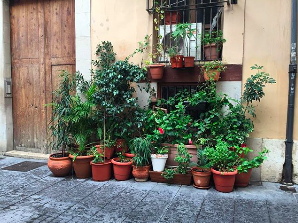 Not To Intervene When It Came To You 