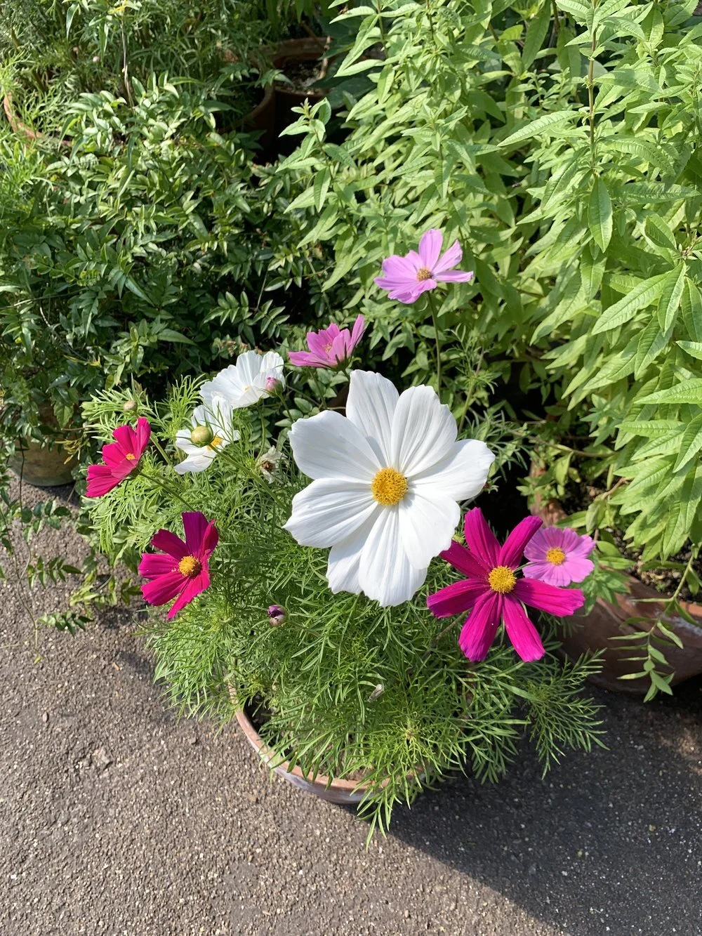 All We Do Is Tell Stories