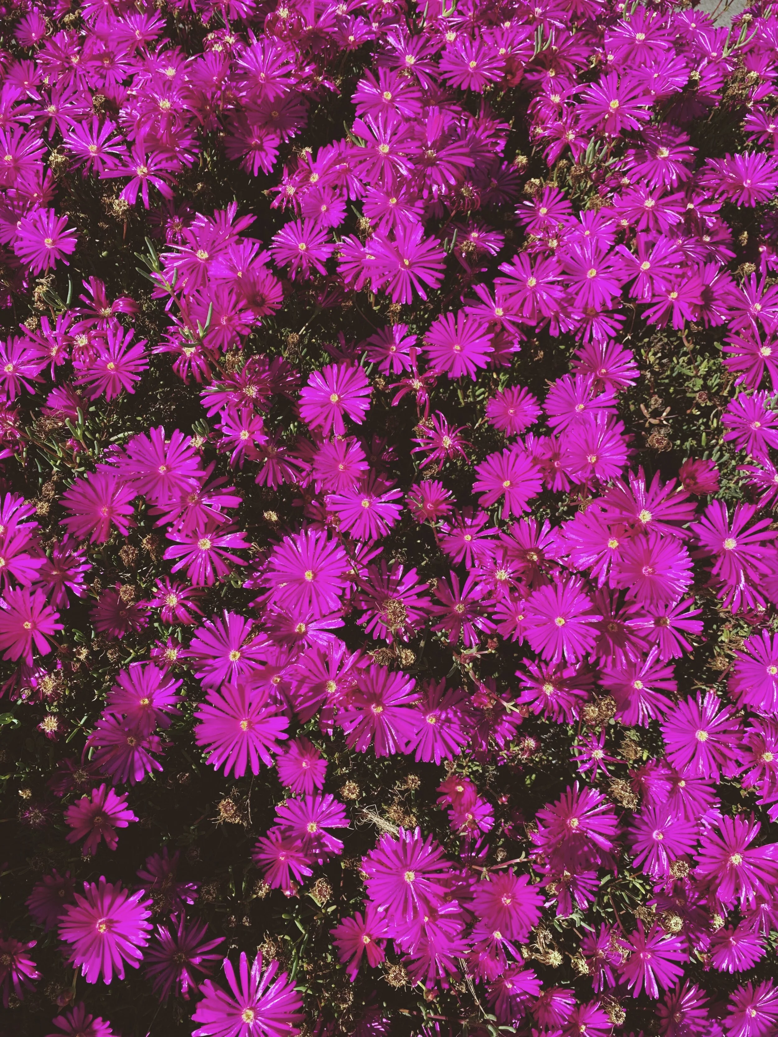  Things We Never Did Before