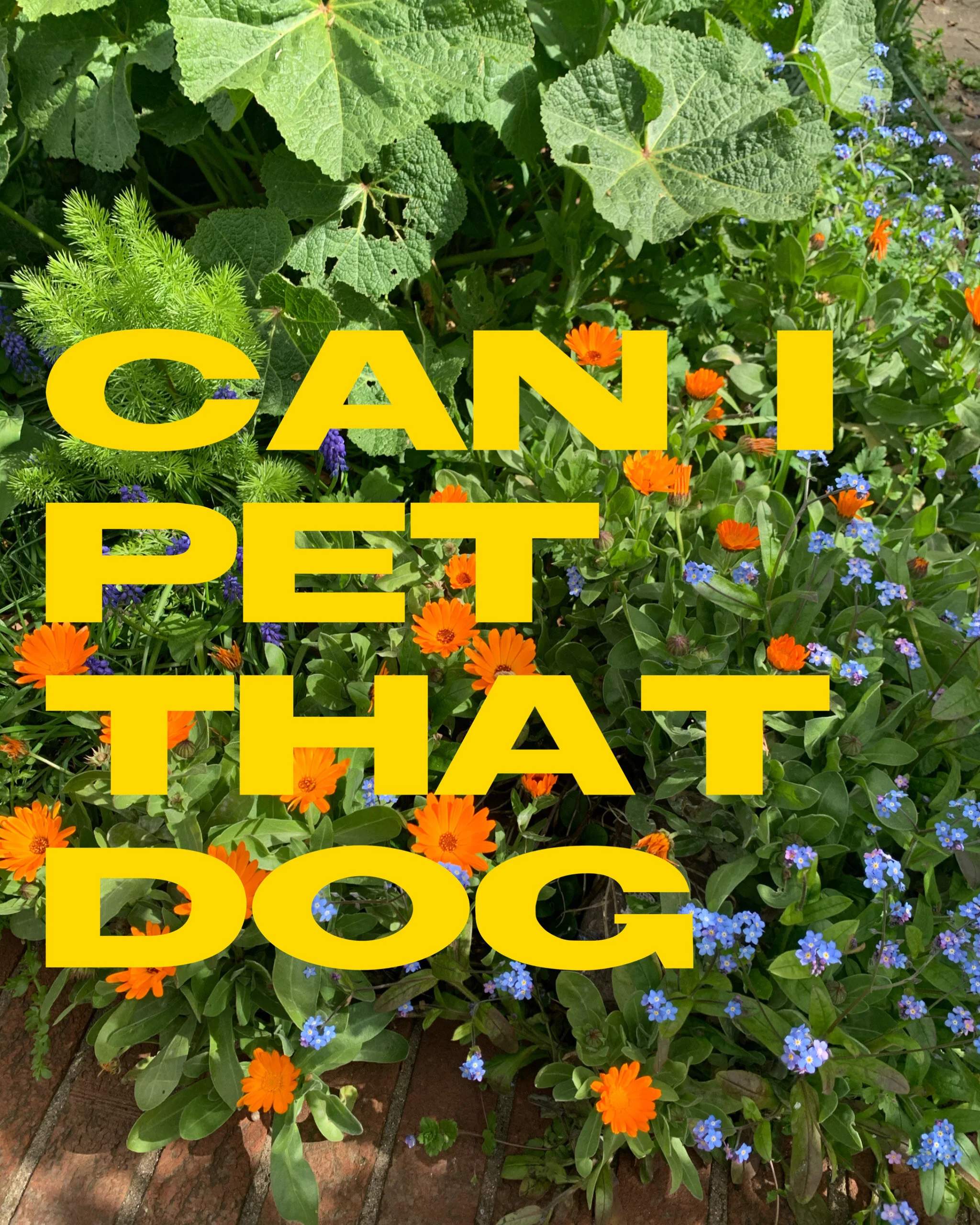 TikTok is the perfect absurdist comedy for now