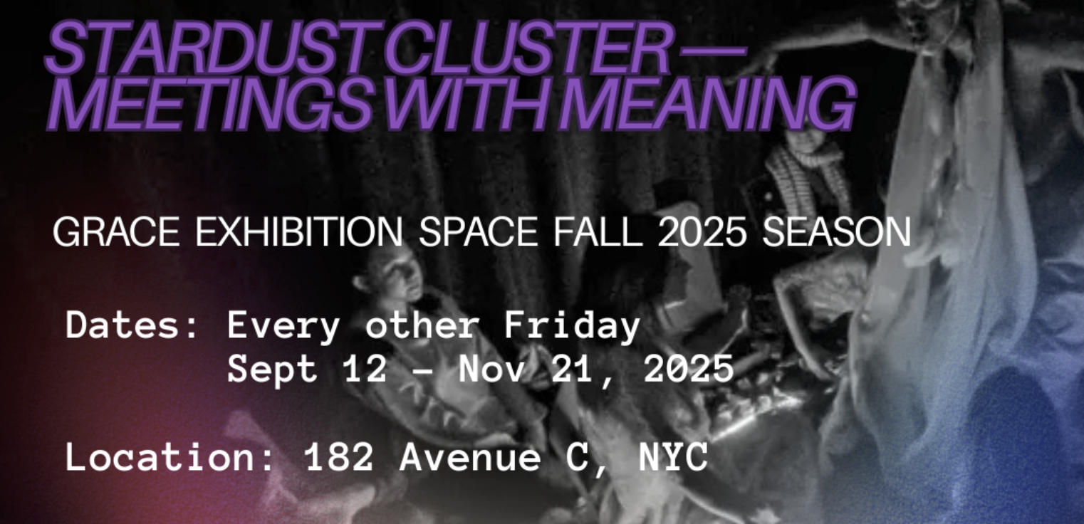 STARDUST CLUSTERS: MEETINGS WITH MEANING
