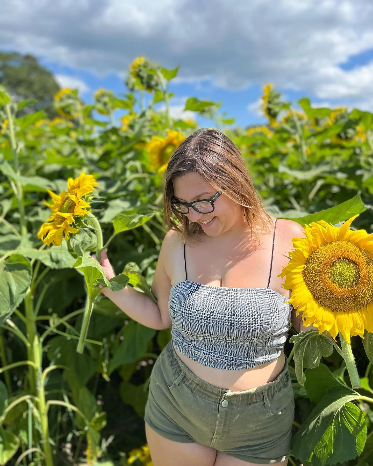 sunflower1.jpeg