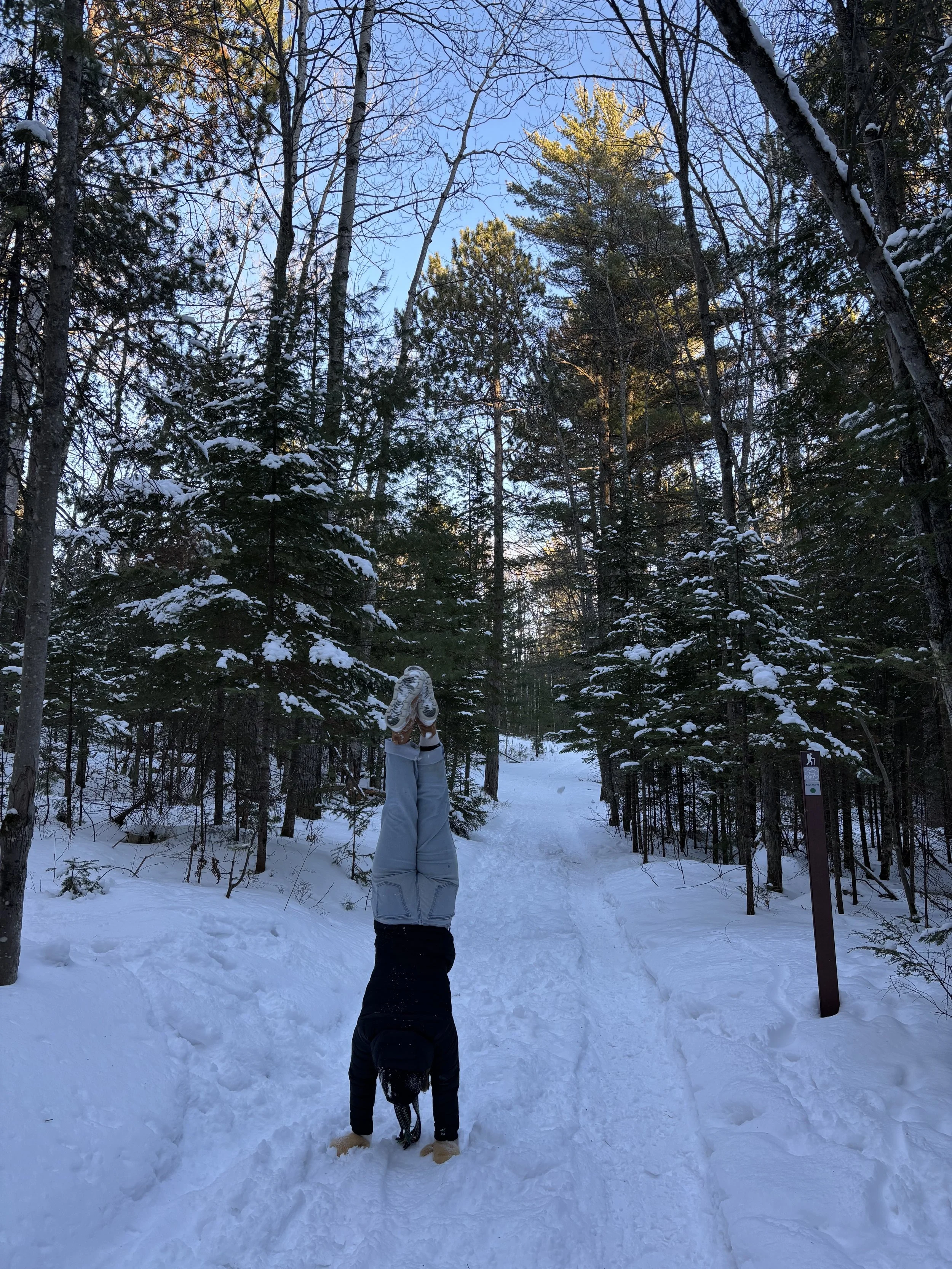 HandstandinMarquette.jpg