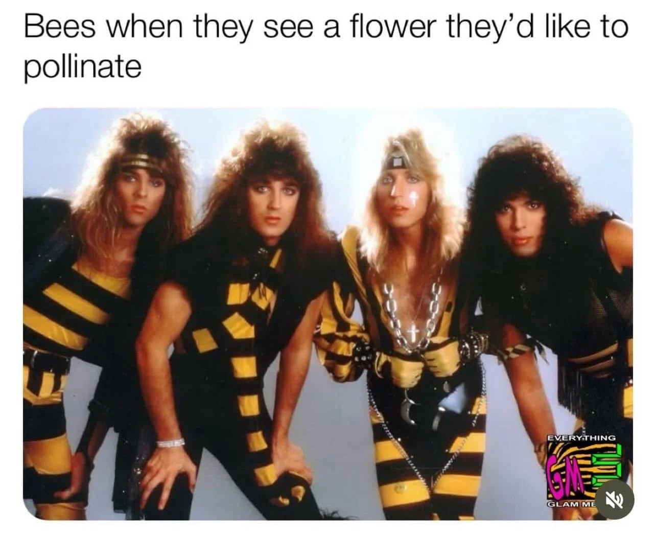 🐝