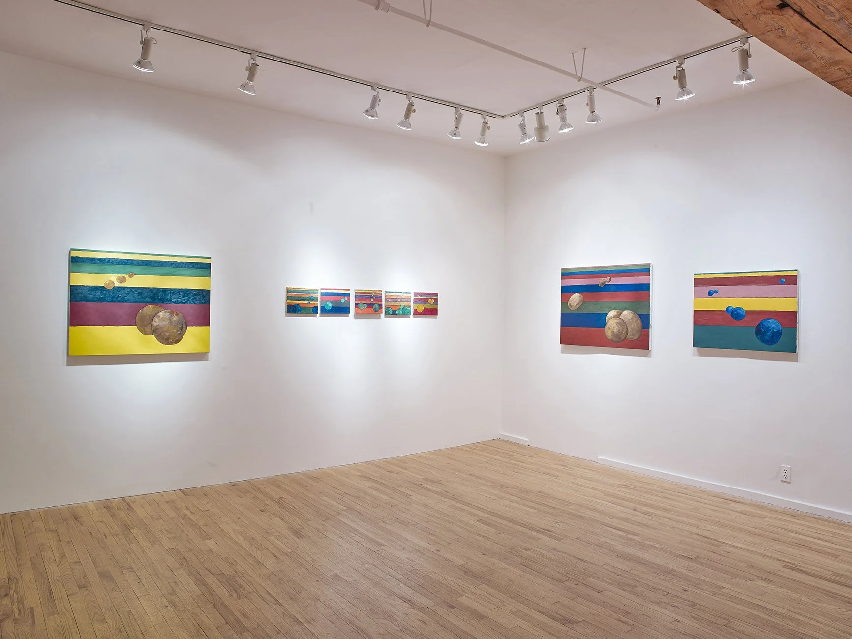Ann Shapiro 4-6-1523887 1.jpg