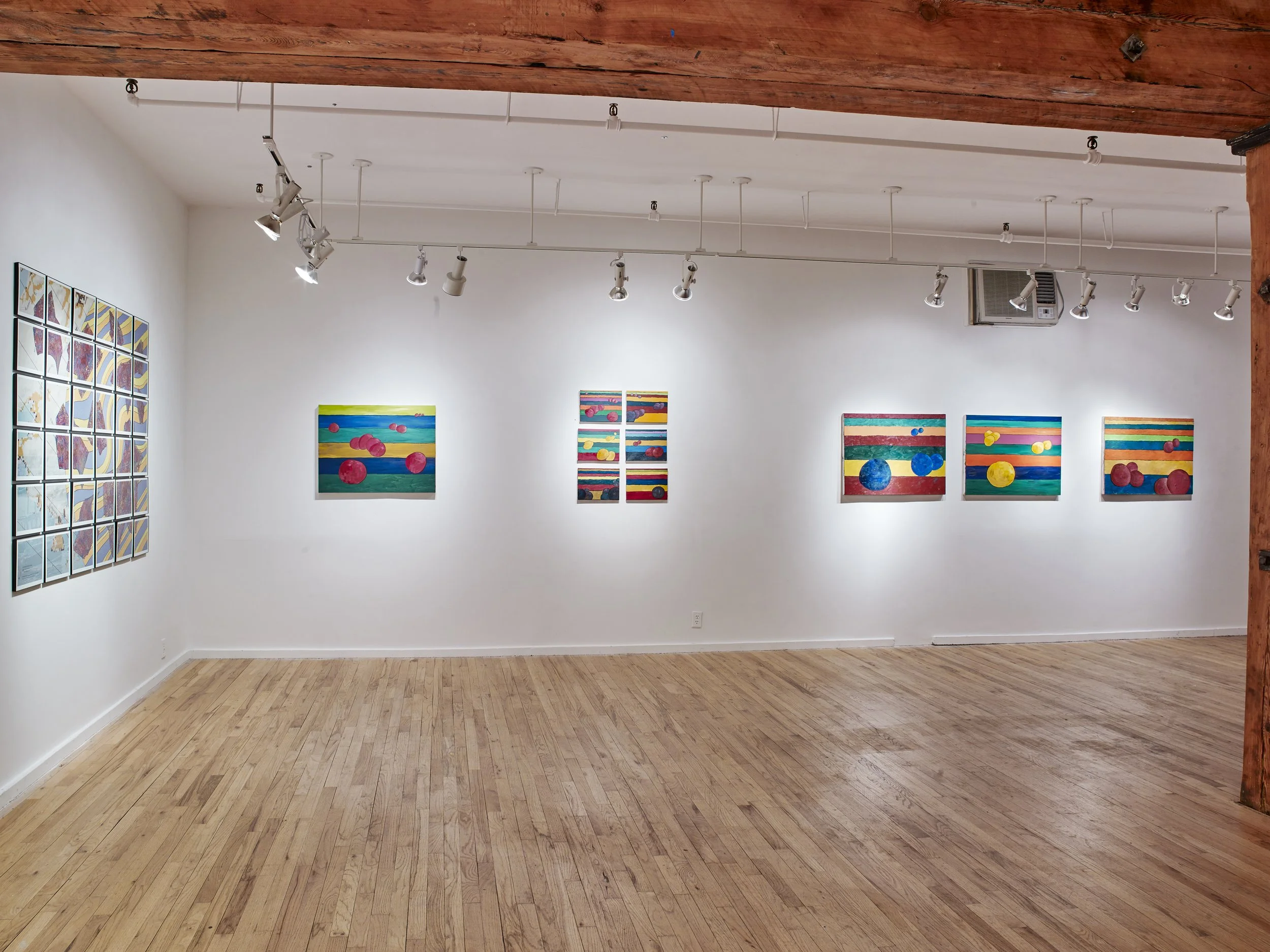 Ann Shapiro 4-6-1523890 1.jpg
