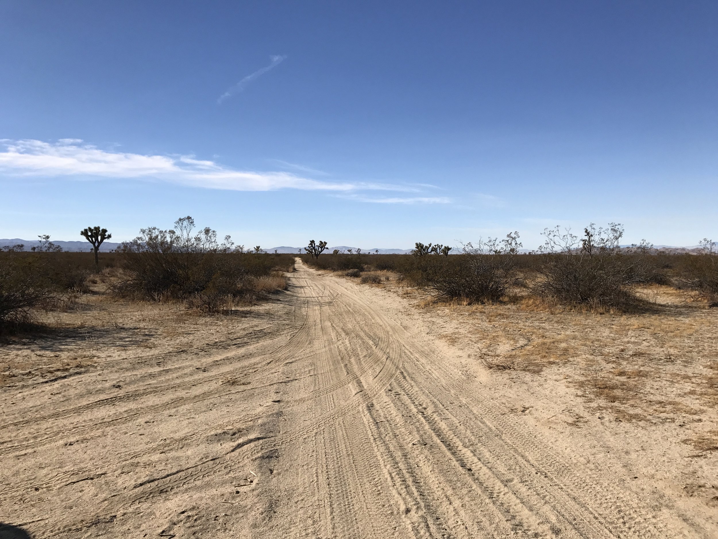 LA-54 0 E Ave T  Lancaster CA (Available)