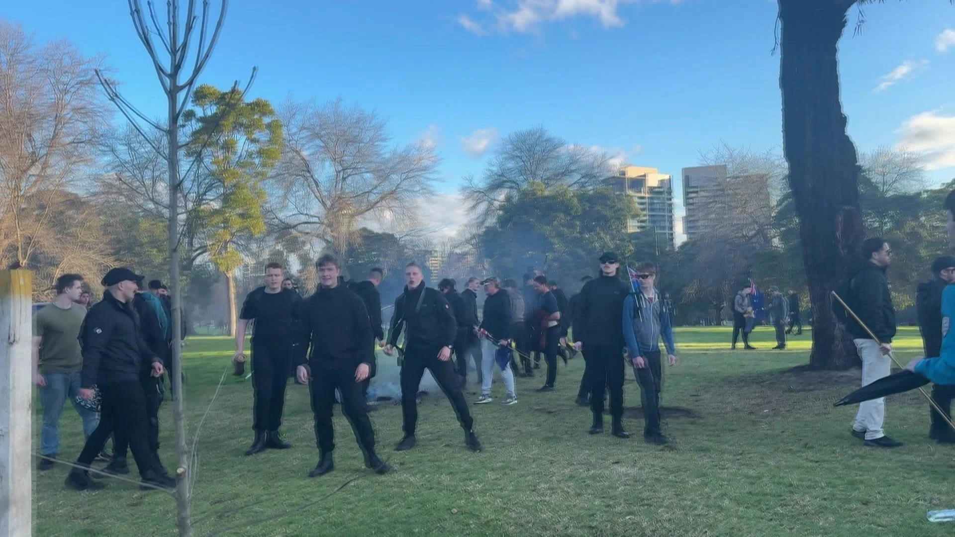 Crowd of neo-nazi activists in a park with trees and buildings in the background, some holding flags, and smoke rising from the ground.