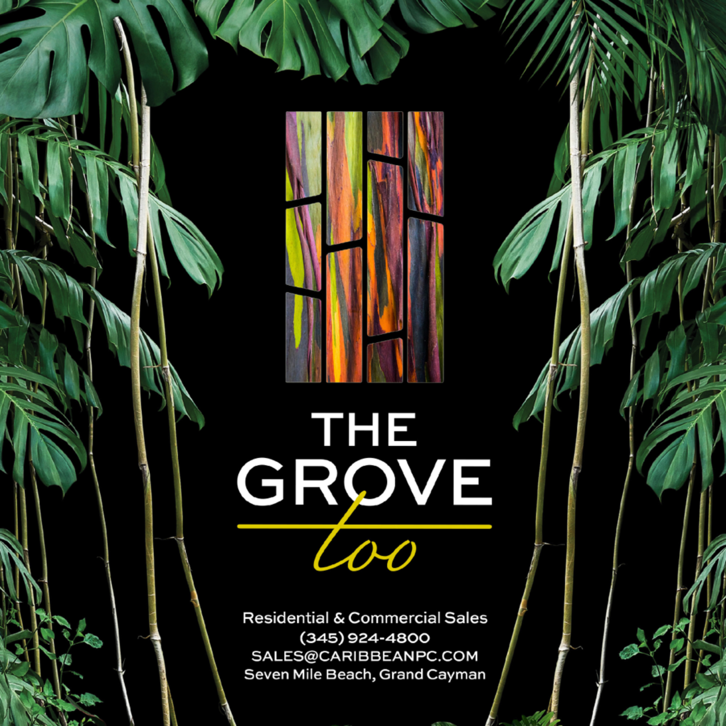 The Grove Too Cayman (Copy) (Copy) (Copy) (Copy)