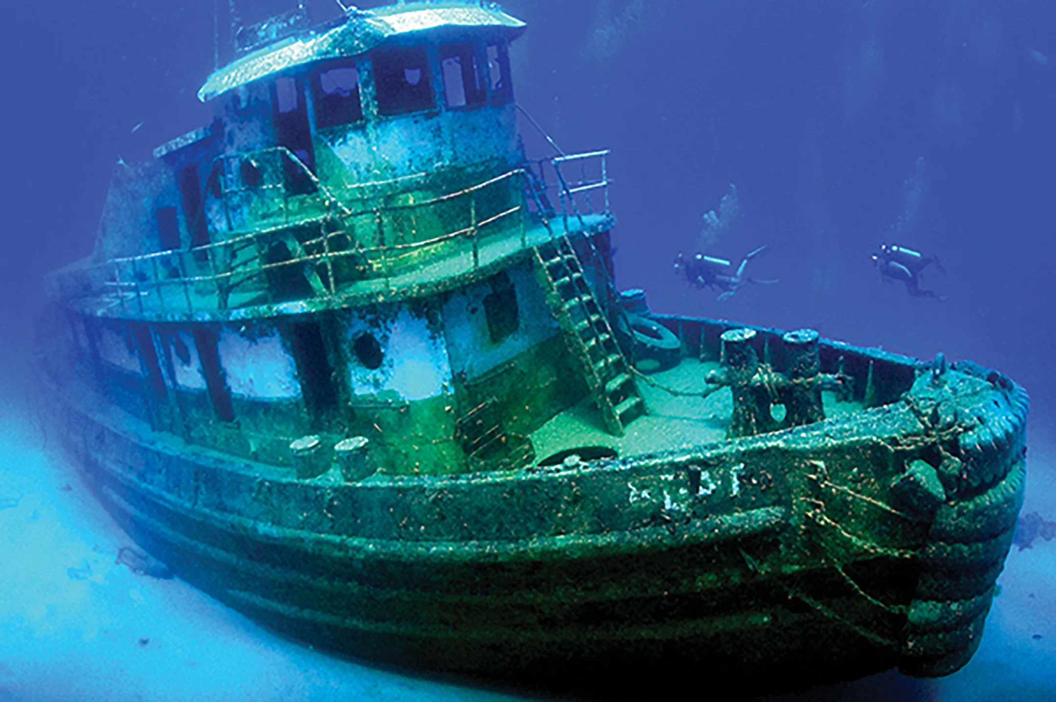 DSC_0008-2-0000 copy 2.jpg