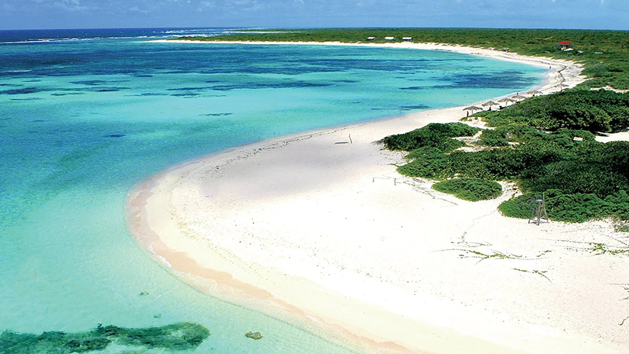 40848d71a6eae7e37c95877e199f1a0e copy.jpg