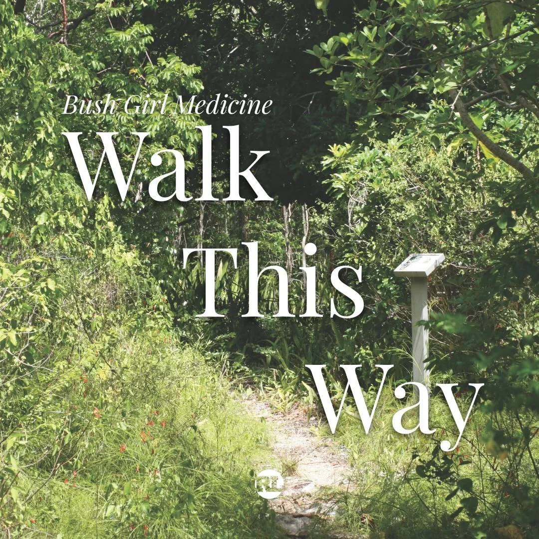 🌿 CAYMAN TRAILS TO EXPLORE: WALK THIS WAY WITH @bushgirlmedicine 

In the Cayman Islands, hiking trails are more than a way to stretch your legs. They are a walk through history, habitat and heritage.

🌳 The historic Mastic Trail winds 2.3 miles fr