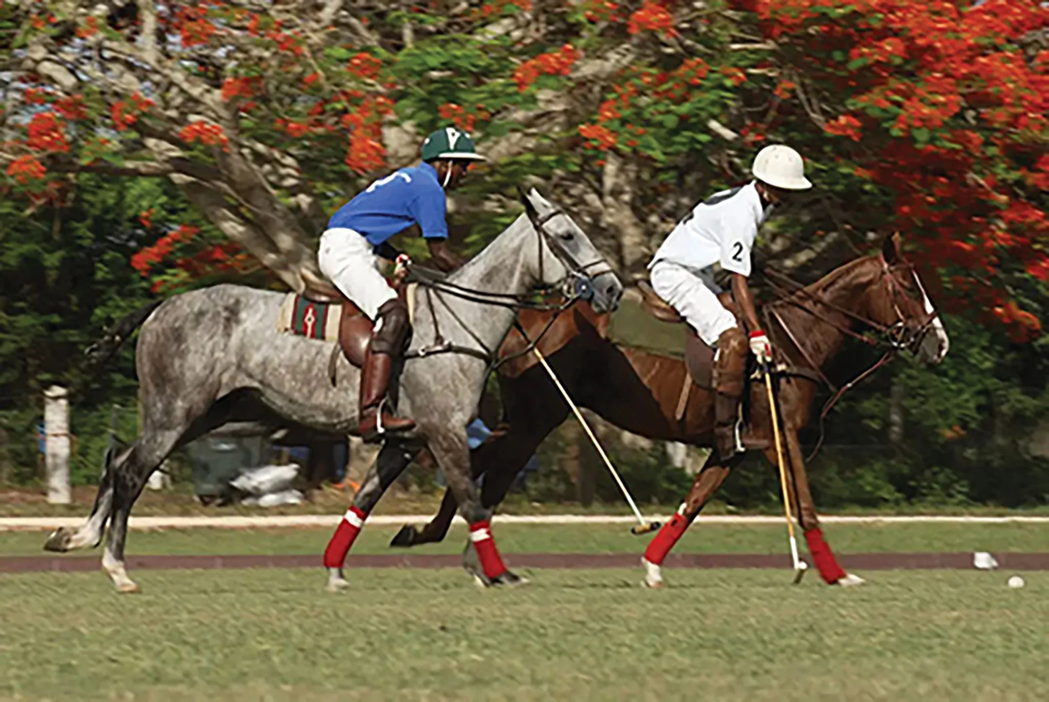 SADDLE UP IN STYLE | CASA DE CAMPO, DOMINICAN REPUBLIC 
