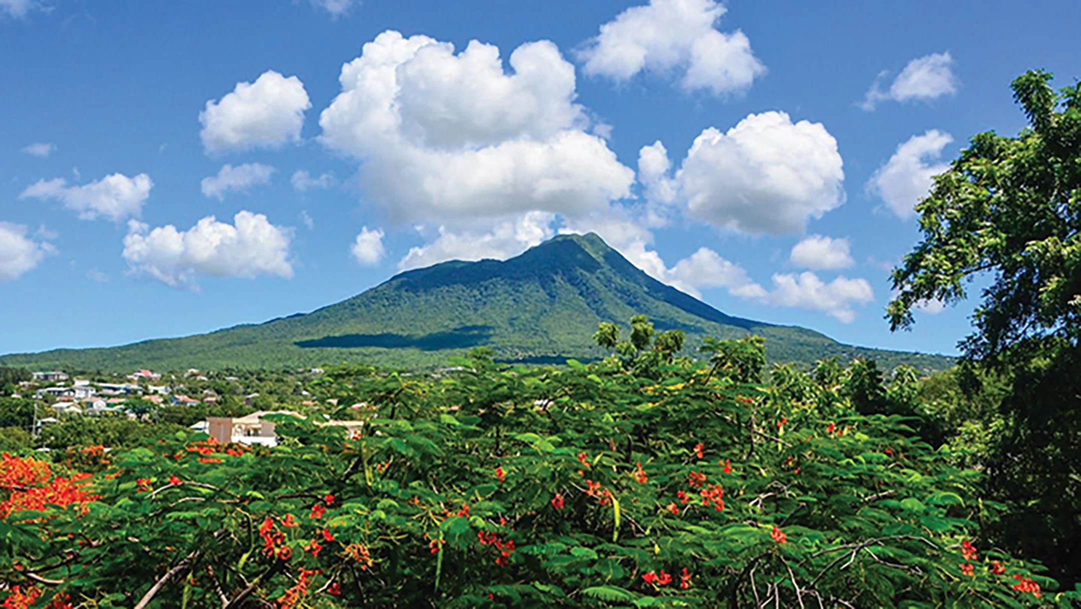 THE SPIRIT OF NEVIS | A MASTERCLASS IN NEVISIAN LIVING - MICHAEL MORTON OF ISLAND BUZZ TOURS