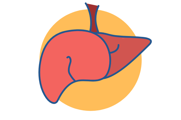Welcome to The Fatty Liver