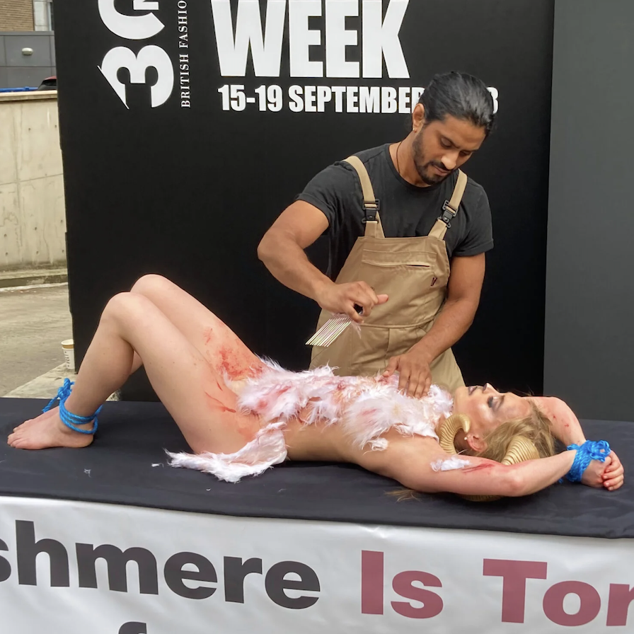 PETA (UK) is being weird again