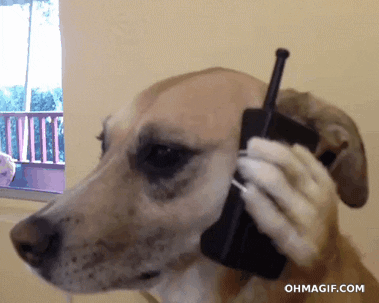 Phone it in Friday