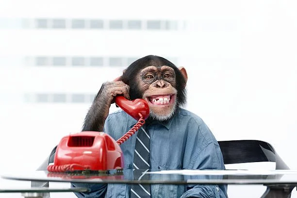 Phone it in Friday