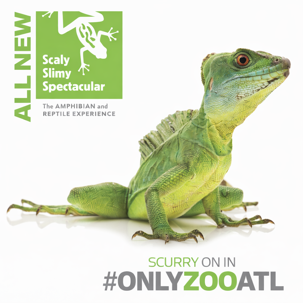 ChatGPT Image Mar 1, 2026, 12_34_09 PM.png