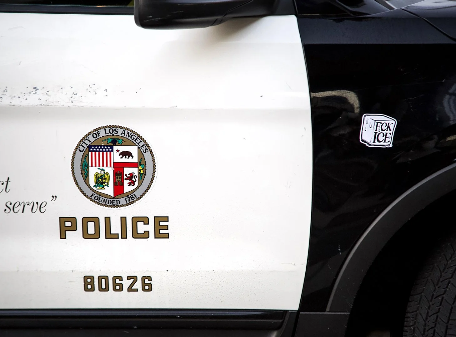 PROTEST JAN 31_03 copy.jpg