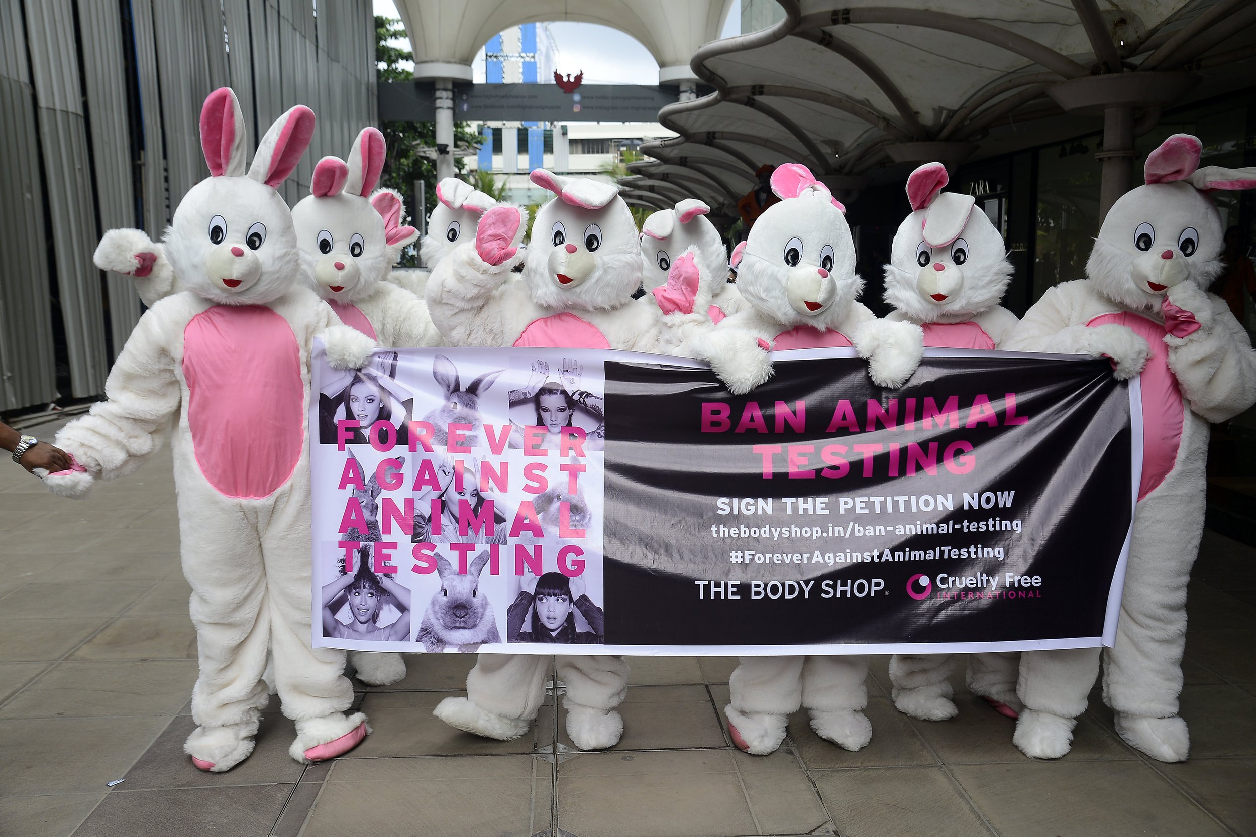 Source: Cruelty Free International