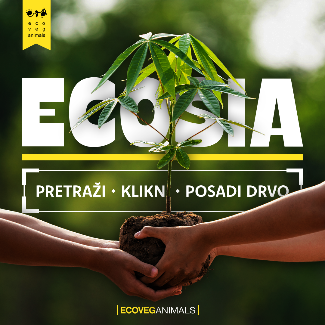 ECOSIA – Pretraživač koji sadi drveće
