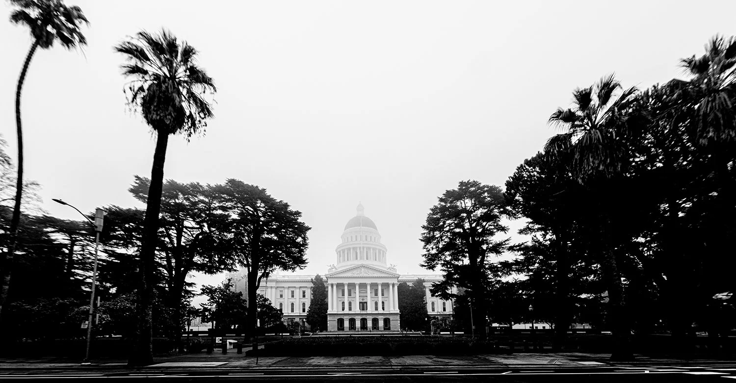 FB Fog discovery park capitol-4704.jpg
