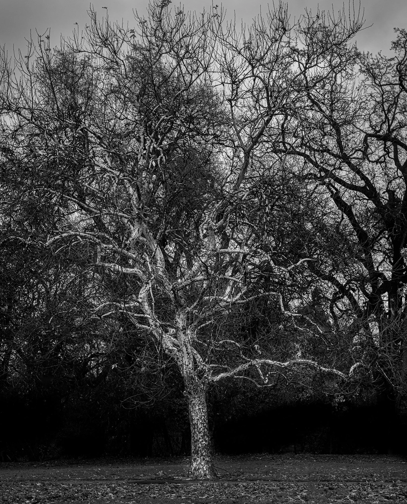 FB 1.3.25 Freeport Drive-4126-2.jpg