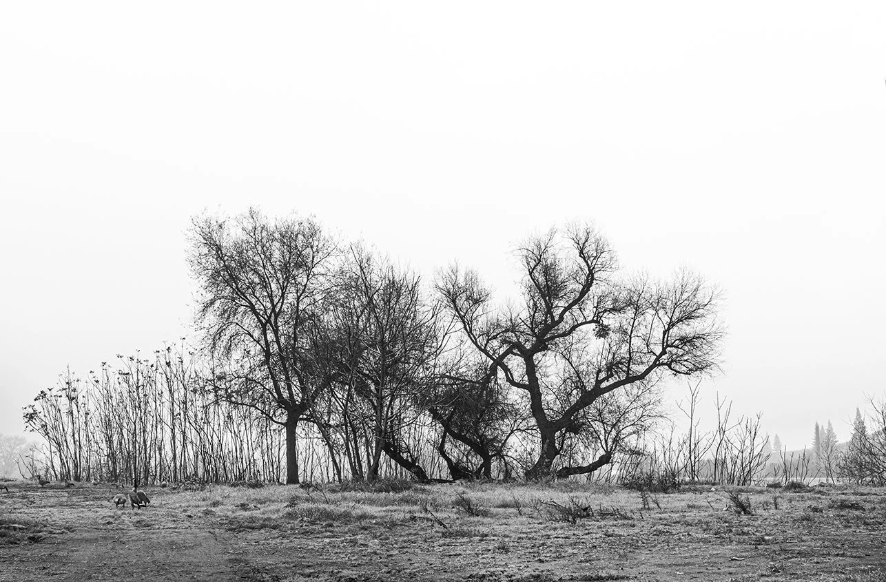 FB Old West Sac shoot-4564-2.jpg