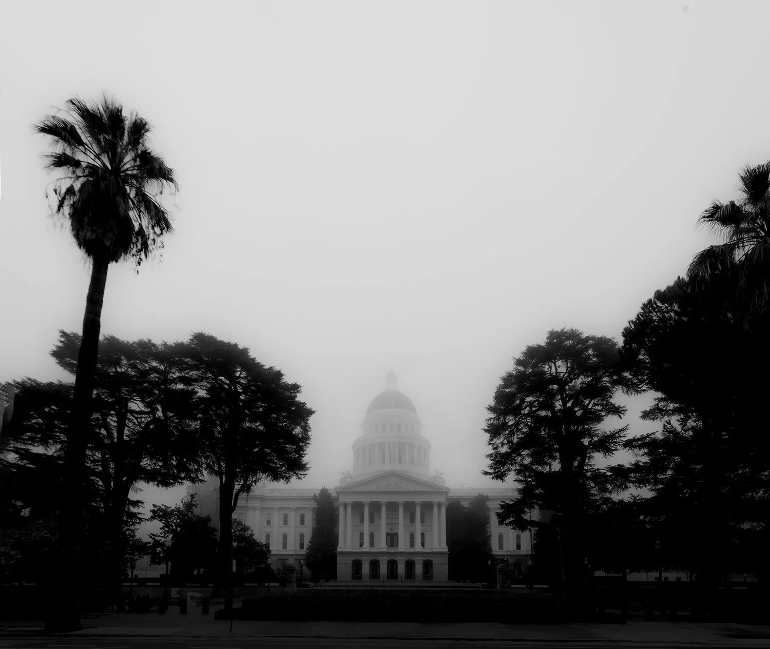 FB Fog discovery park capitol-4708.jpg