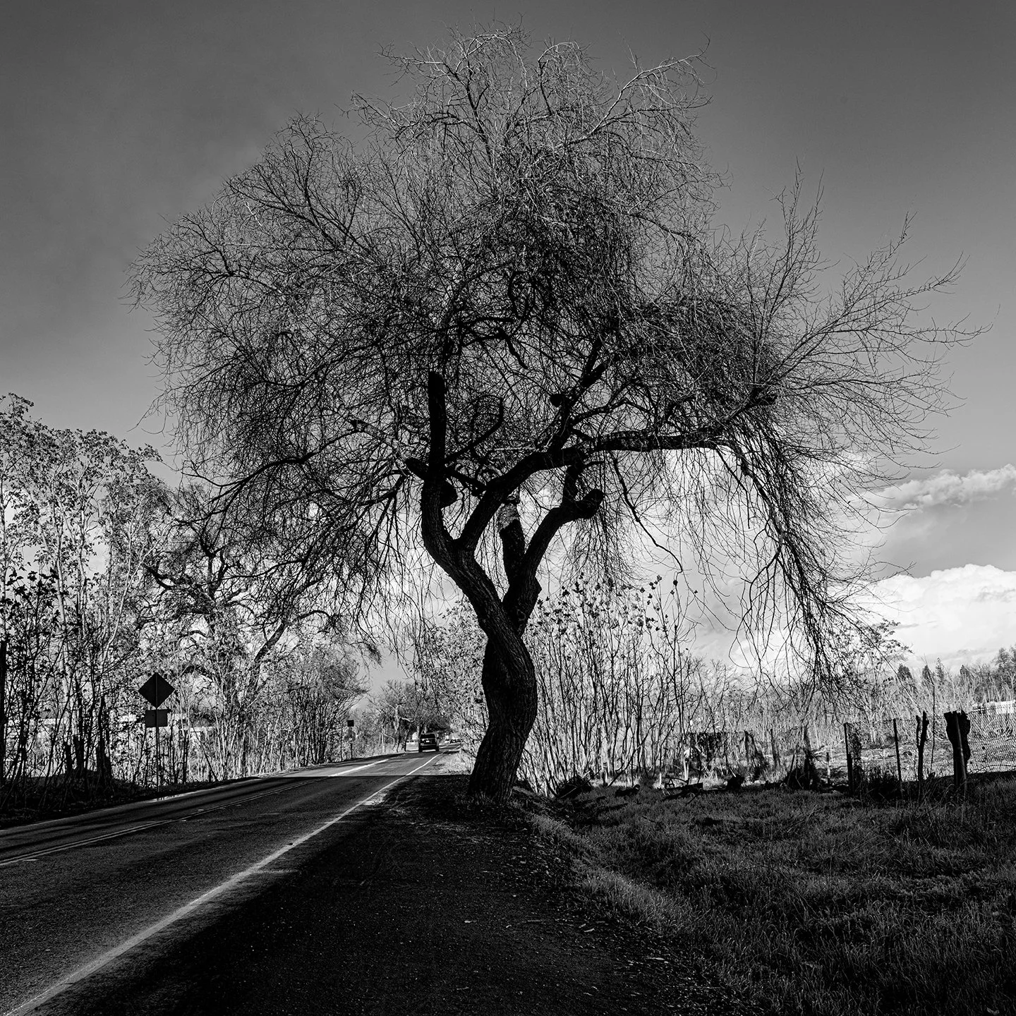 FB 1.3.25 48x48 Freeport Drive-4105-2.jpg