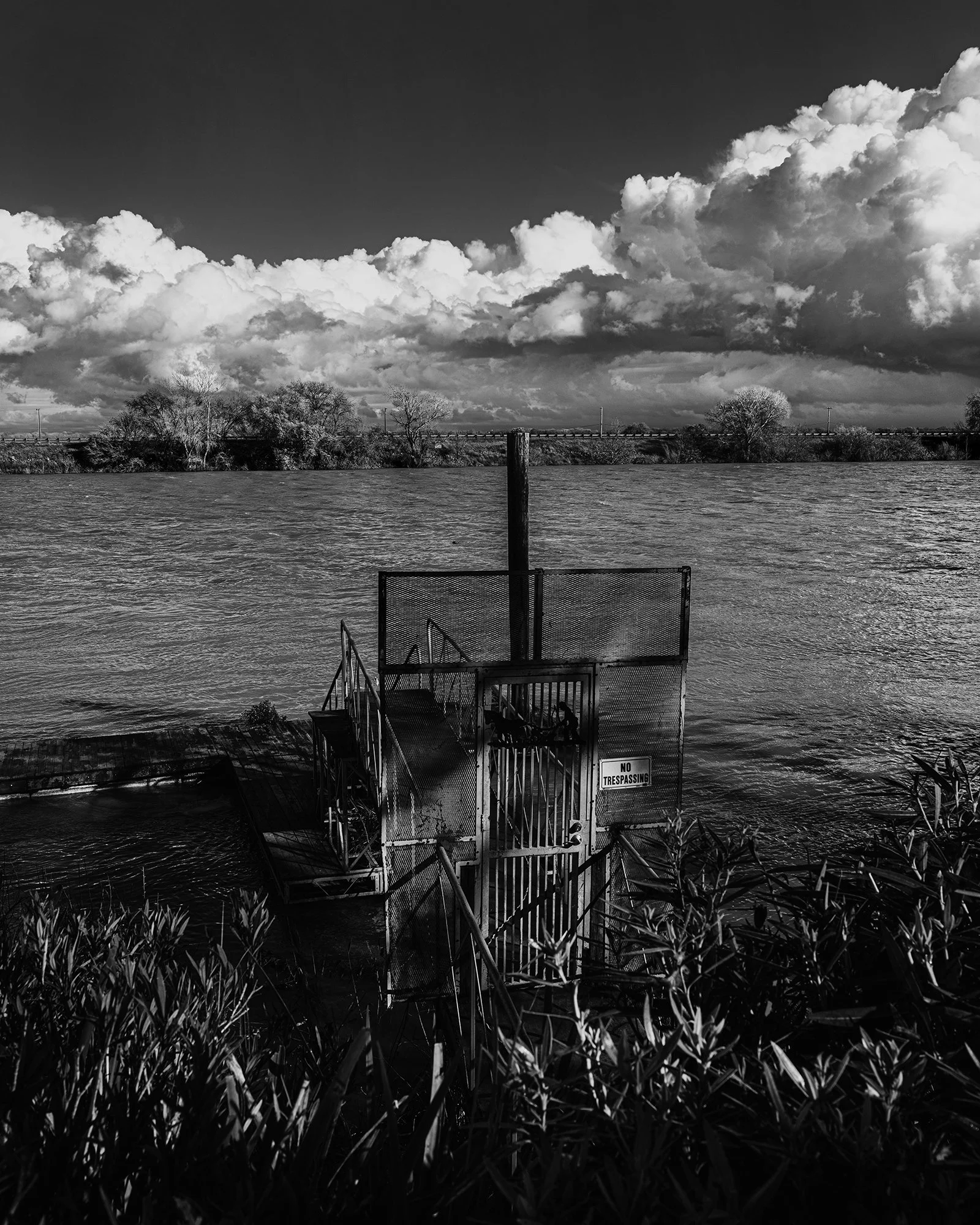 FB C 1.3.25 Freeport Drive-4089-3.jpg