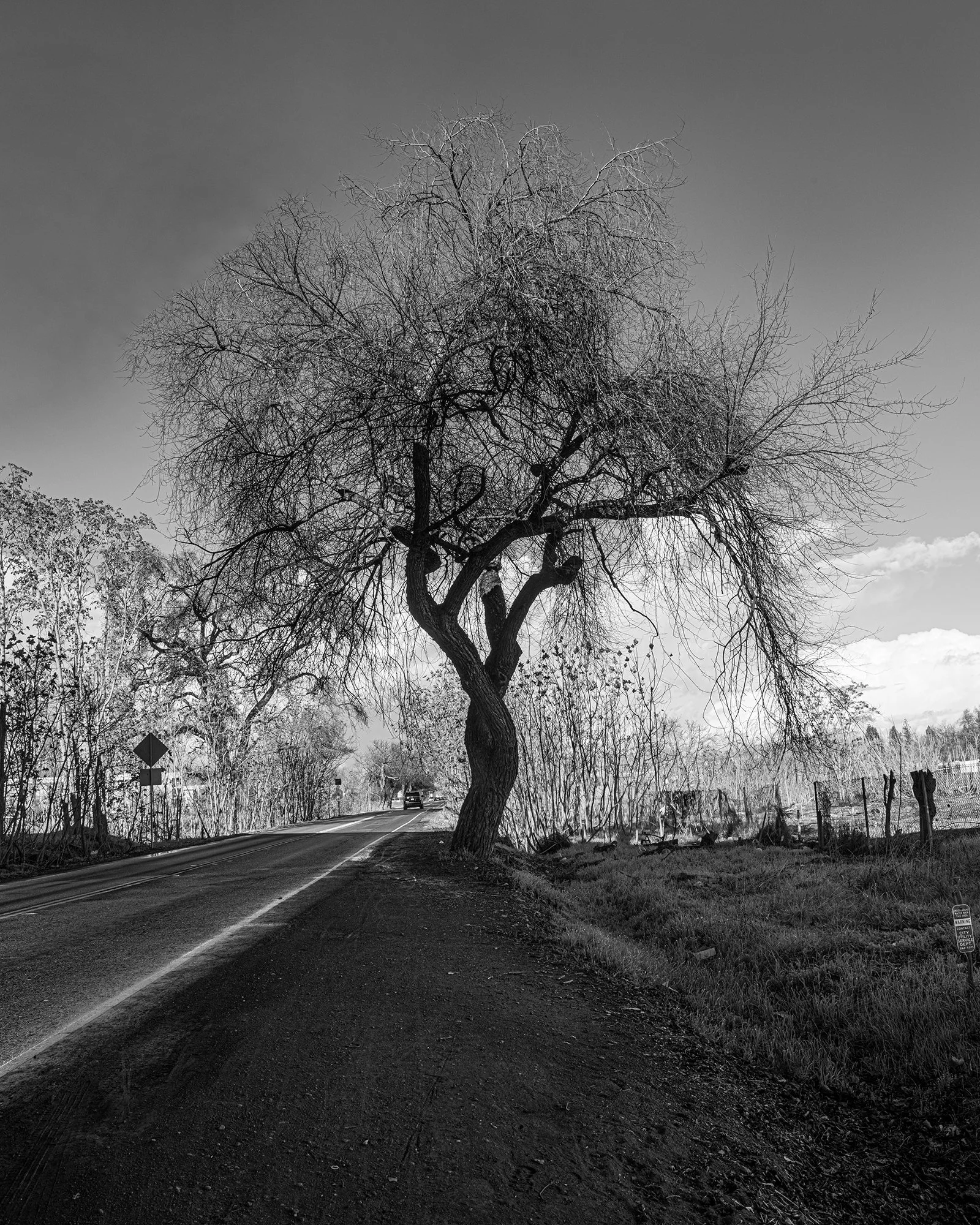 FB 1.3.25 Freeport Drive-4105-2.jpg