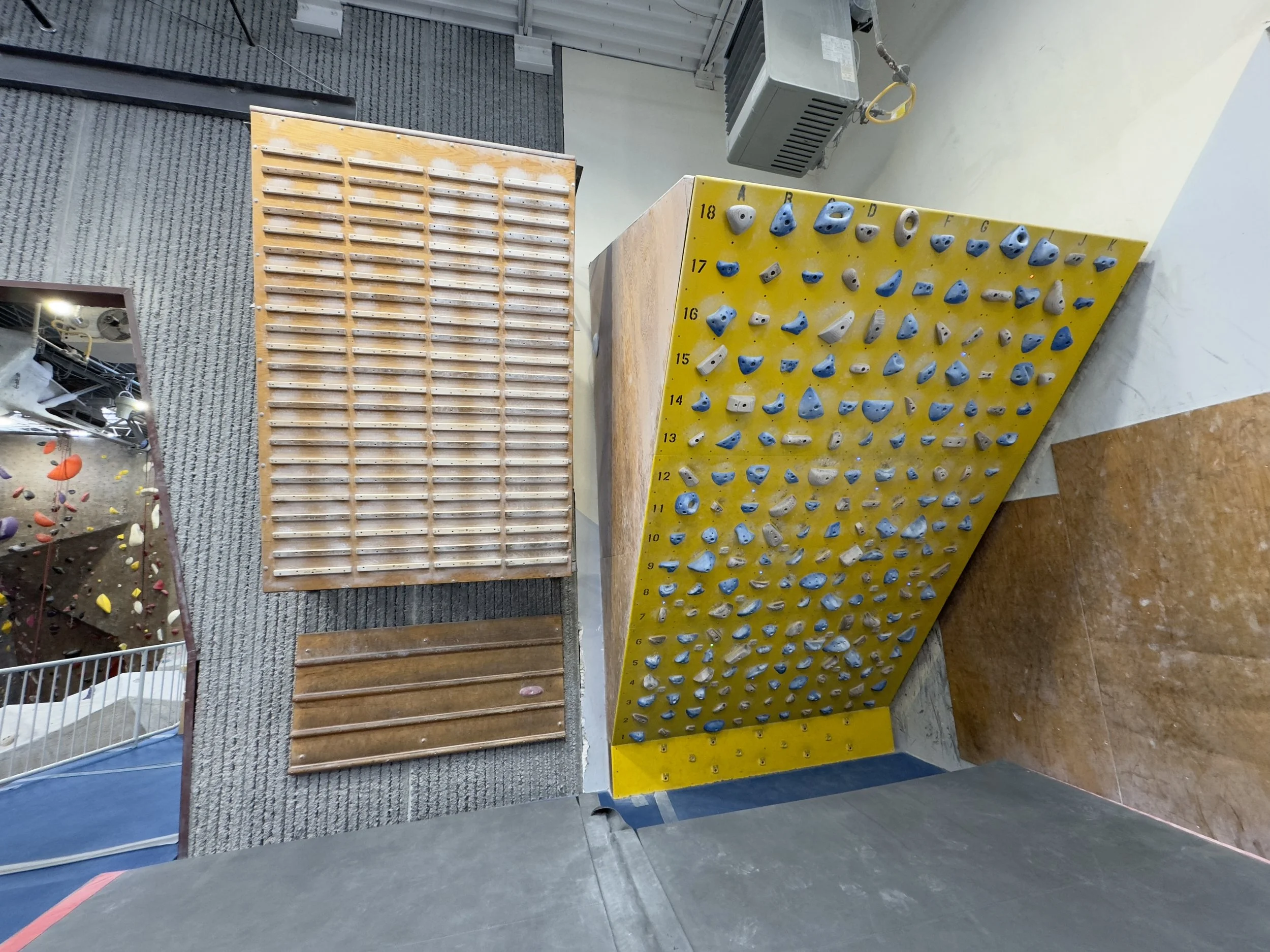 From Good to Great: The CWI Program’s Impact on Gym Operations