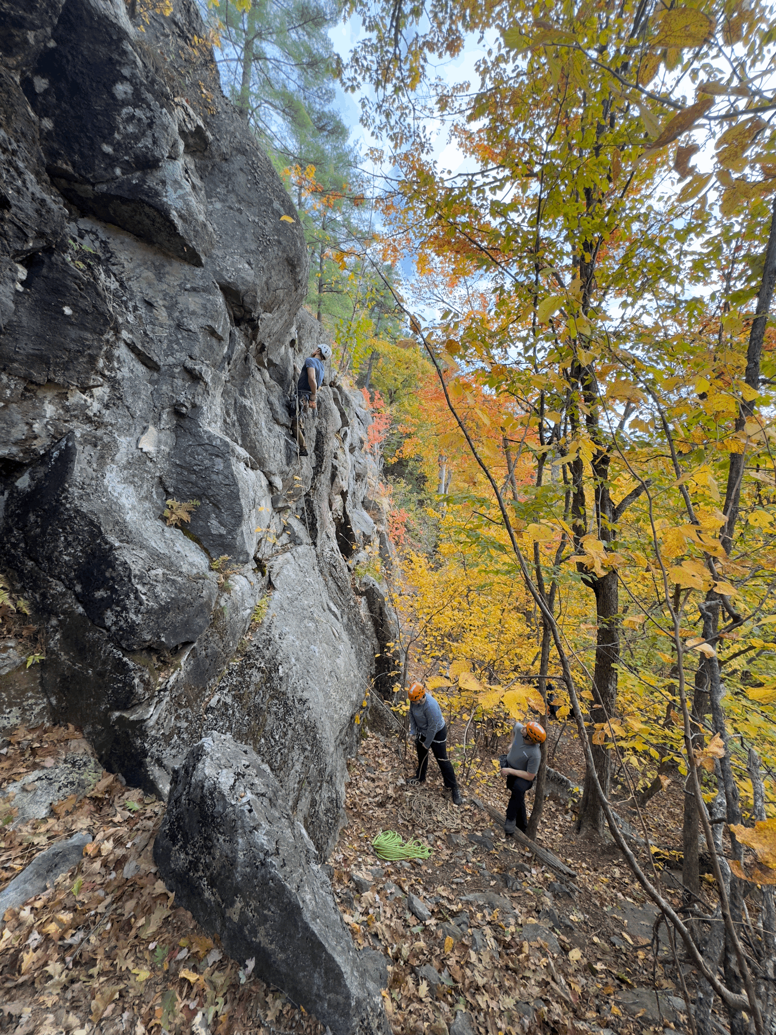 Discover the Essentials to Learn Lead Climbing